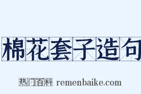 棉花套子造句是什么意思的图片